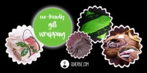 Eco-friendly gift wrapping / way for sustainable wrap your gift