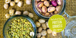 Best plant based protein sources for vegans
