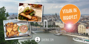 Vegan restaurants in Budapest
