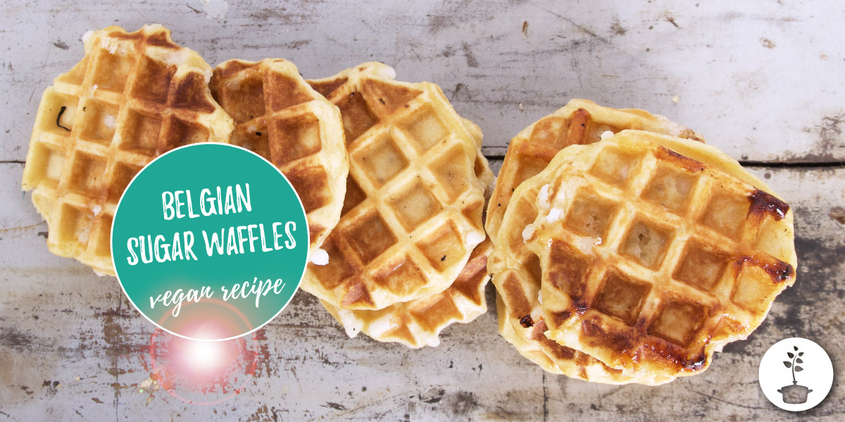 Belgian sugar waffles - vegan recipe