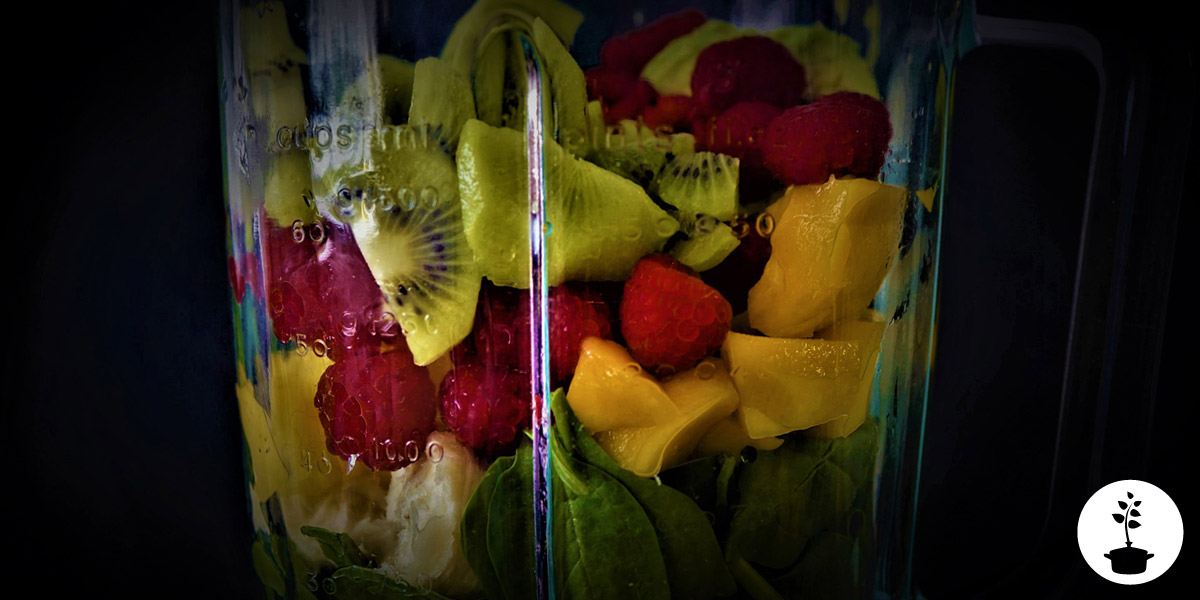 Buying a blender tips How to choose the perfect blender? Goherbie