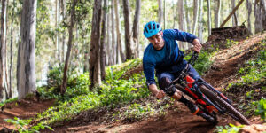 consciously sustainable forest mountain bike